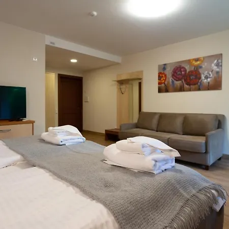 Senasis Nemunas Apartament Druskieniki