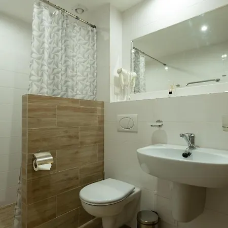Senasis Nemunas Apartament