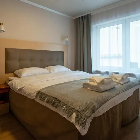 Apartament Senasis Nemunas