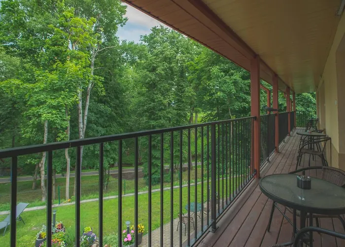 Senasis Nemunas * Druskieniki