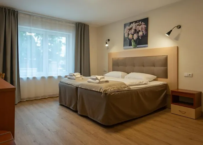 Senasis Nemunas * Druskieniki