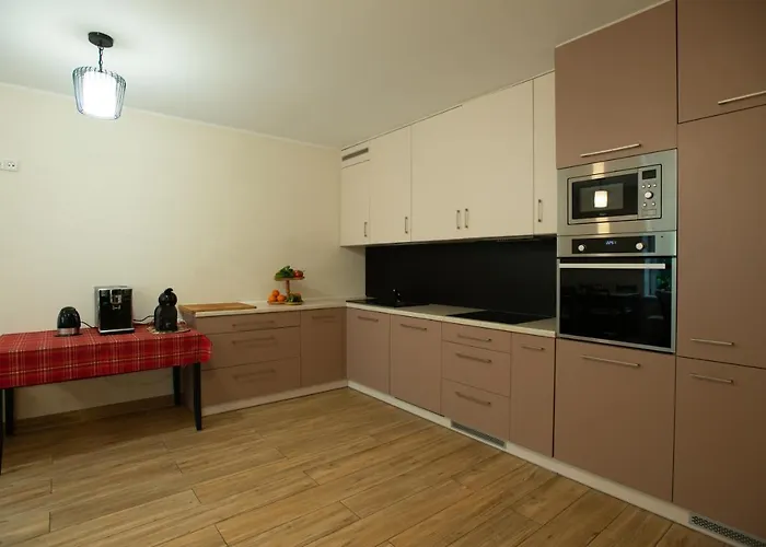 Senasis Nemunas * Druskieniki