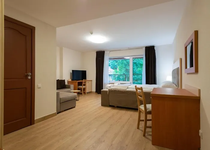 Senasis Nemunas Apartament